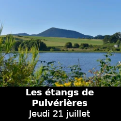 Balade-rando pédagogique autour des étangs de Pulvérières, jeudi 21 juillet 2022